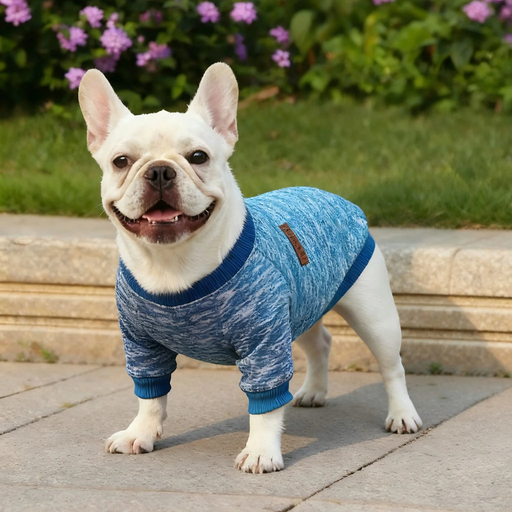 EcoSteam Cappotto con Striscia Riflettente per Cani