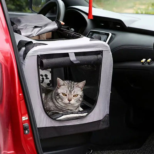 EcoSteam Borsa Trasportino per Animali